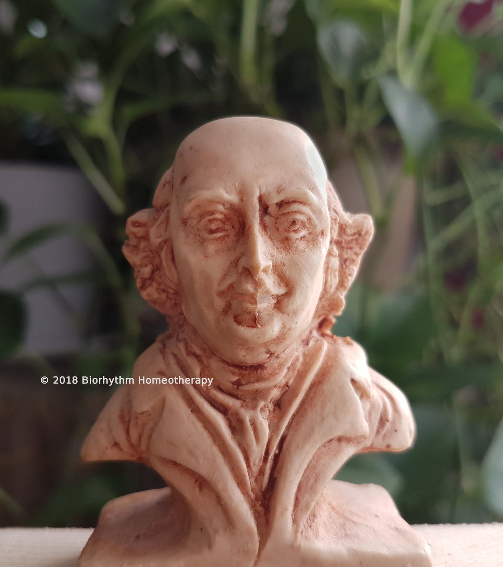 What does a homeopath do?